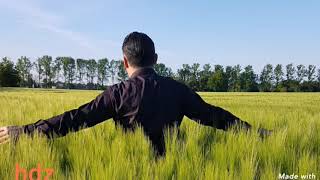 Steven Al Bagadi - Al Fasad / Fon ...