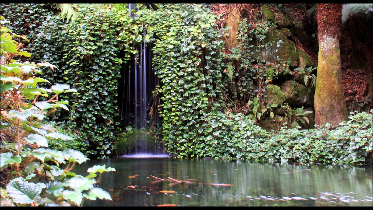 TREBAH GARDENS CORNWALL,MUST SEE - YouTube