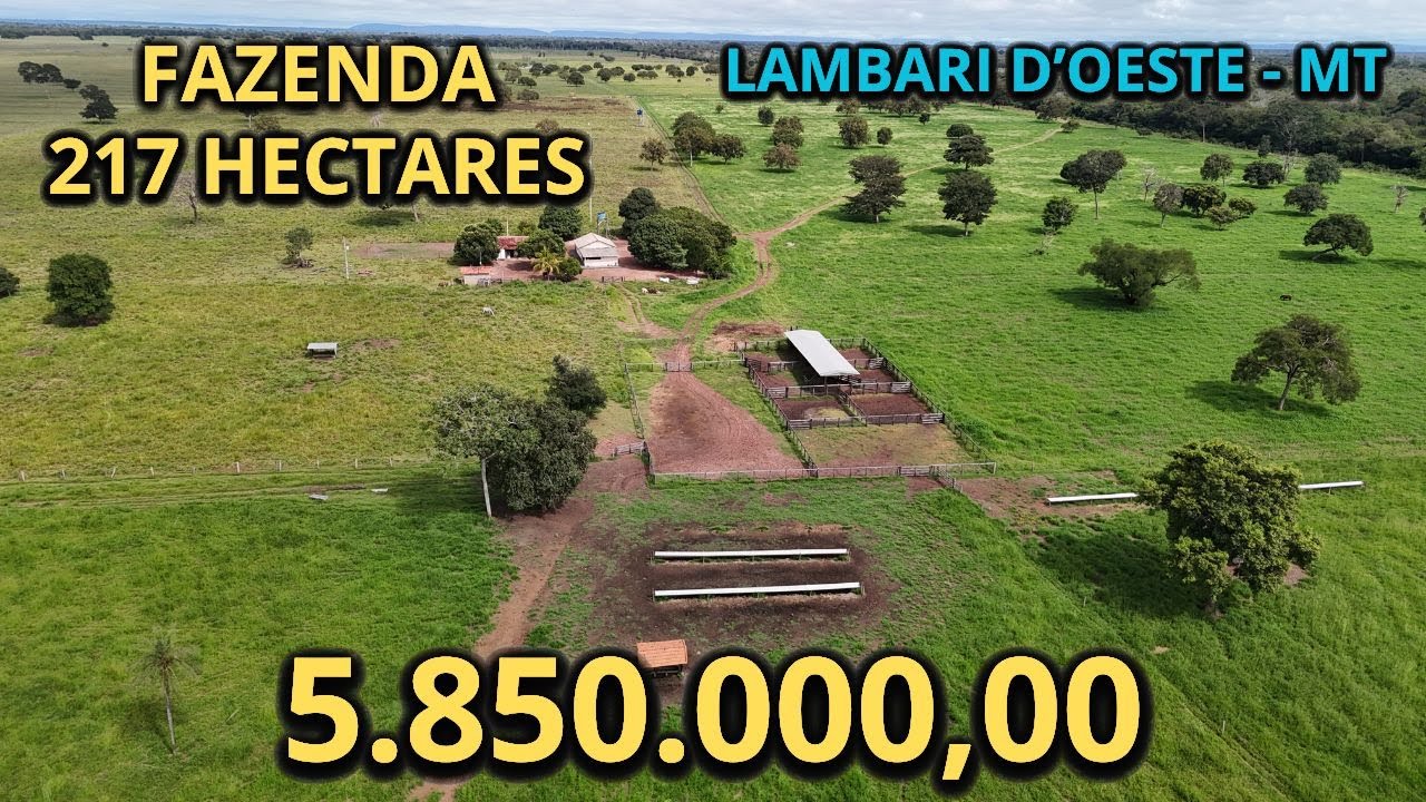 FAZENDA 217 HECTARES Á VENDA LAMBARI D'OESTE - MATO GROSSO