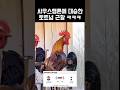 사우스햄튼에 대승한 토트넘 근황 #사우스햄튼 #토트넘
