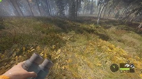 Leucistic western capercaillie | theHunter: Call of the Wild