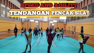 LATIHAN SPEED AND AGILITY TENDANGAN PENCAK SILAT