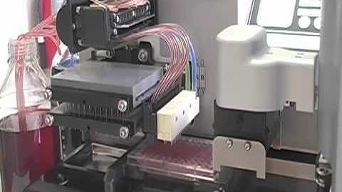 Semi Automated ELISA Liquid Handling using EL406 Combination Microplate Washer Dispenser from BioTek