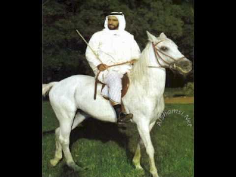 Dar Zayed