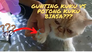 Unboxing & Review Pet Nail / Gunting Kuku Kucing