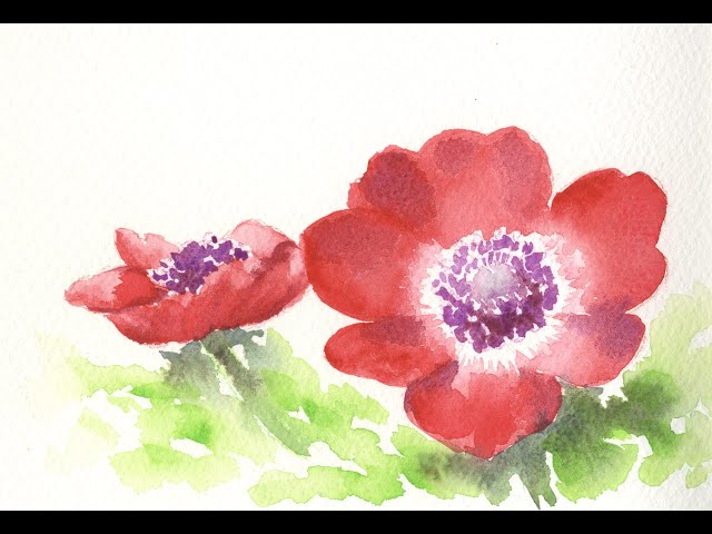春の絵葉書シリーズ ～アネモネ編～ - YouTube
