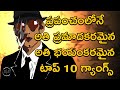 Top 10 Powerful Gangs In The World | To Most Dangerous Mafia In The World In Telugu | My Show My Talks