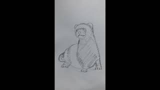 Ferret Drawing and Color Pencil Art Tutorial