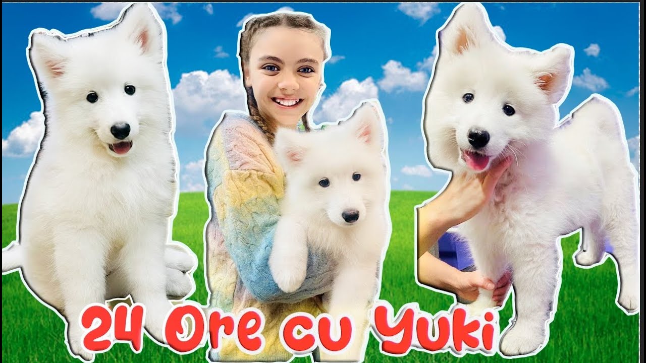 24 de ORE cu CĂȚELUȘA mea YUKI !!