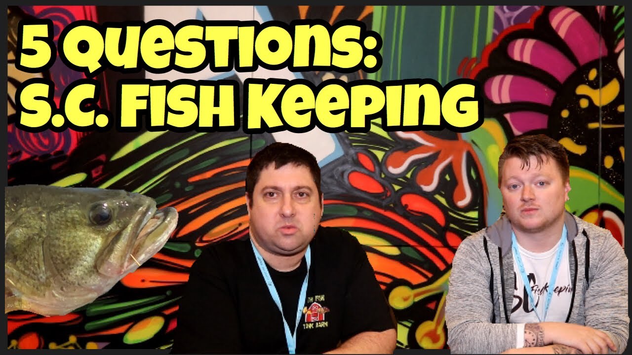 discus fish tank size 5 Questions with S.C. Fishkeeping