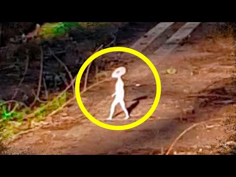 Такое Редко Увидишь! Эти Видео Повезло Снять На Камеру