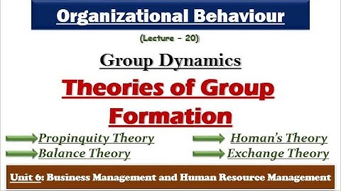 Theories of Group Formation| Group Dynamics| Organizational Behaviour| NTA-UGC NET