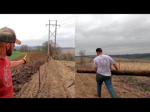 Wideo: Kiedy było ogrodzenie z drutu kolczastego?