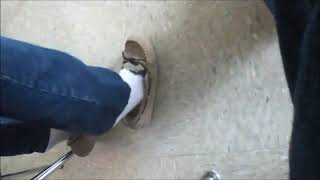 Girl In Moccasins Shoeplay Not My Work