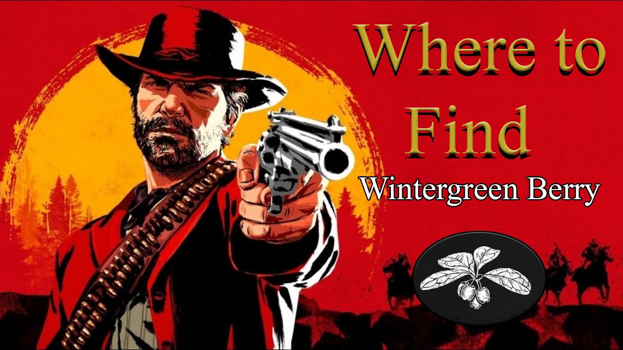 RDR2 Online Wintergreen Berry locations YouTube