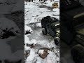 Traxxas 4X4 rc trucks thin ice creek crawl #automobile #rccar #rccar #offroad #rccrawler #snow #reel