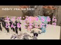 【睡眠導入】次にイベントするならどんなことしたい?【ラジオ】