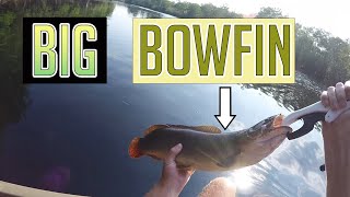 Creek boat fishing for Bowfin, bass, & more! These fish WHOOPED me!