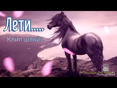 {•Клип Schleich•||•По песни