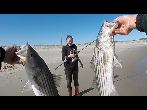 SURF FISHING the BEACH for STRIPED BASS with CIRCLE HOOKS and CLAM