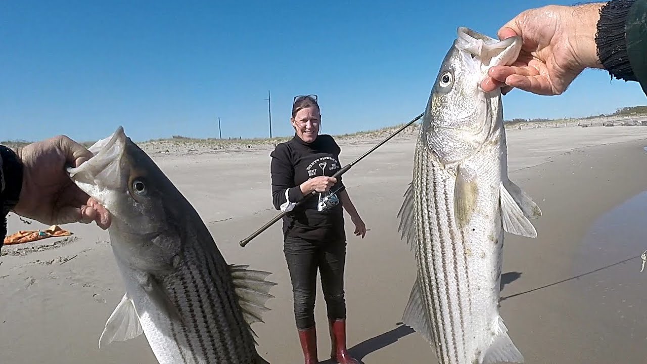 Surf Fishing For Striped Bass With Spiked Fishing Rods