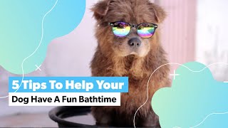5 Tips To Help Your Dog Have A Fun Bathtime