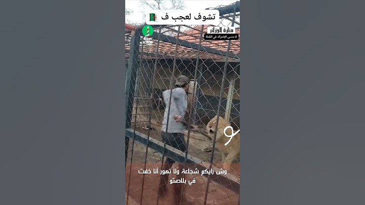 بشجاعة نادرة... حارس يواجه أسدًا مفترسًا داخل قفصه في الجزائر !!!