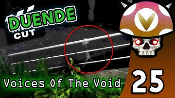 [Vinesauce] Joel - Voices Of The Void Highlights ( Part 25 )