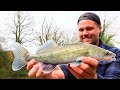 Canal Fishing for ZANDER! (Lure fishing)