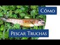 5 Consejos para PESCAR TRUCHAS - Técnicas para Ríos, Quebradas y Páramos