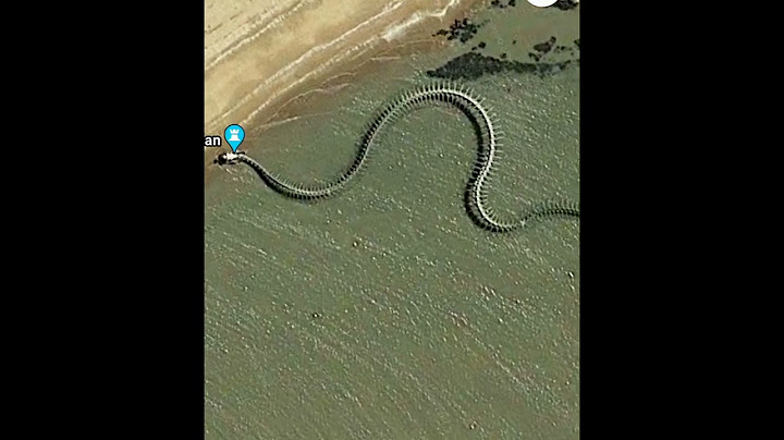 Titanoboa/The world biggest Snake skeleton/😱😱😱 #snake #facts #cobra #animals #nature