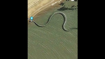 Thumbnail of Titanoboa/The world biggest Snake skeleton/😱😱😱 #snake #facts #cobra #animals #nature