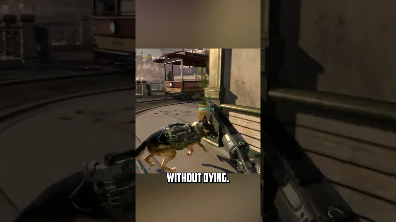 Swiftor Says Good Doggie 