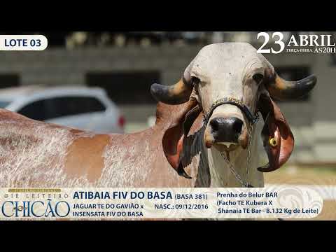 LOTE 03   BASA 381