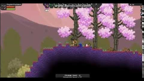 Channel Intro! Random Rambling! Starbound Ep. 1