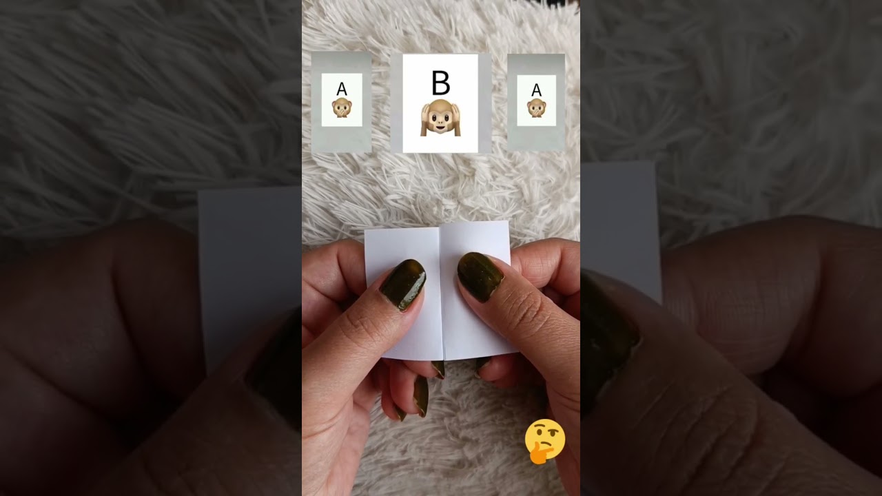 which monkey is it🐒?