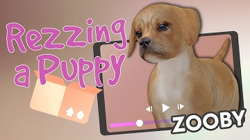 Rezzing a Zooby Animesh Puppy