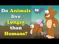 Do Animals live Longer than Humans? | #aumsum #kids #science #education #children