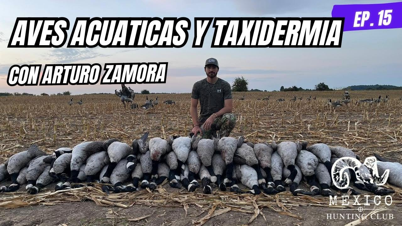 Ep. 15 | Aves acuáticas y Taxidermia con Arturo Zamora