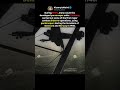 Germany’s First Paratrooper Combat Drops of WWII #shorts