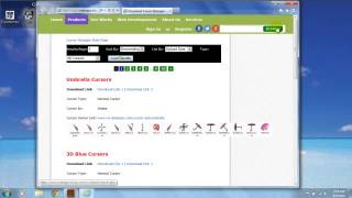 Cursor Manager Software Help screenshot 4