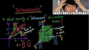 LINEAR ALGEBRA (GEOMETRIC MEANING OF THE DETERMINANT)