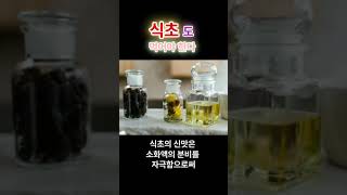 식초도 먹어야한다 #식초 #노폐물 #노폐물제거 #장운동 #장건강 #피부트러블 #다이어트 #식초 #지방분해 #피로회복 #세척 #세균 #물때제거