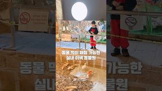 아마존 민물고기를 비롯한 실내 이색 동물원
