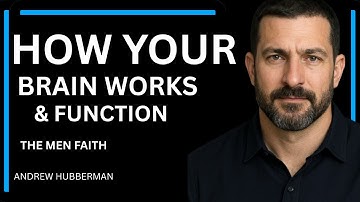 Essentials: How Your Brain Functions & Interprets the World | Dr. David Berson | The Men Faith