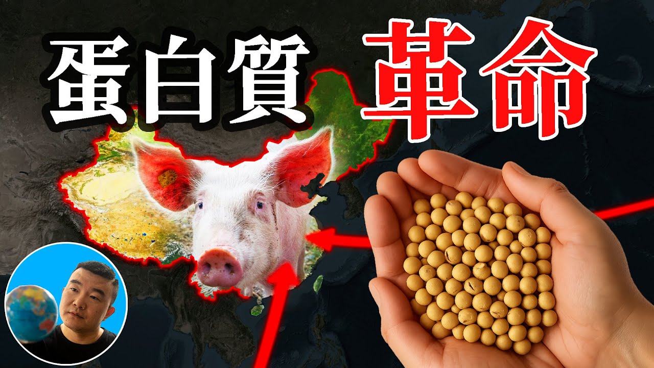 中国人均蛋白质，第一次超过美国？真相完全颠覆你的想象【地图奇遇记】