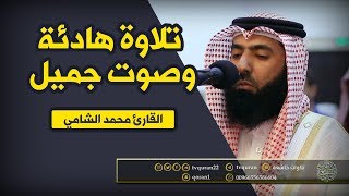       تلاوة هادئة وصوت جميل جدا تقشعر له الأبدان   القاريء محمد الشامي سمعها