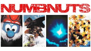 Numbnuts