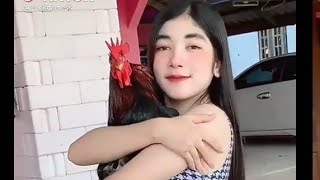 gadis Thailand pecinta ayam