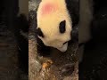 暑くなってきたね、水遊び、楽しそうだね。